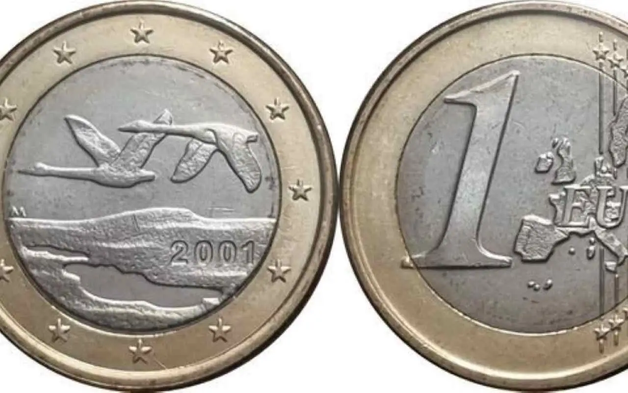 Immagine selezionata