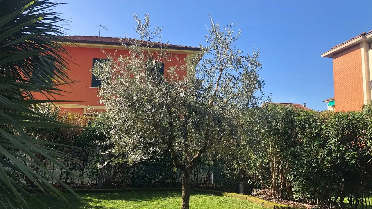 Immagine selezionata