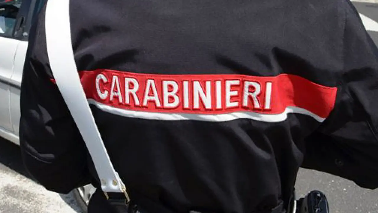 Immagine selezionata