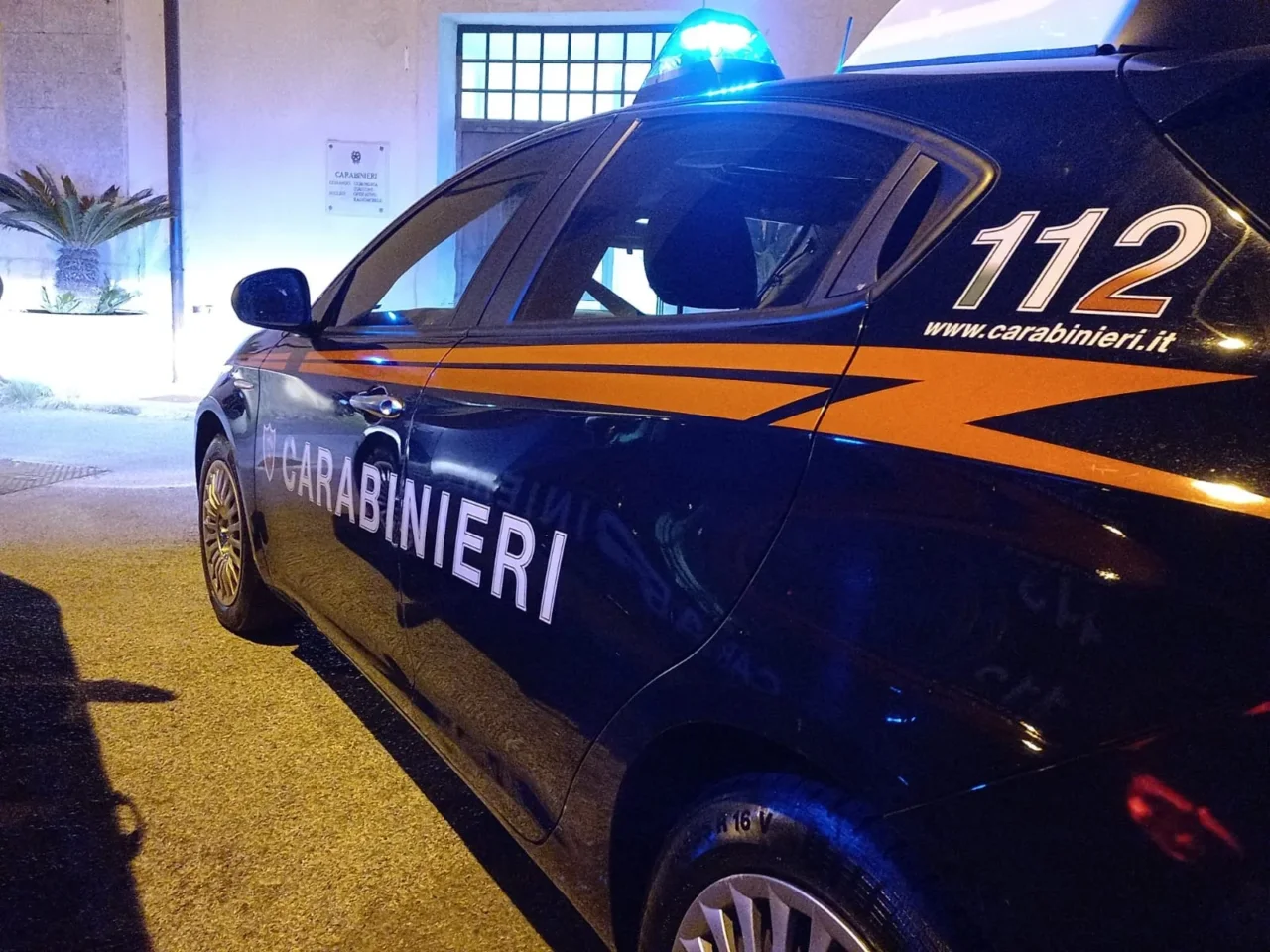Immagine selezionata